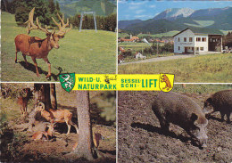 Mautern - Wild U.Naturpark - Leoben