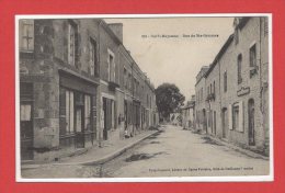 53 - BAIS --  Rue Ste Gemmes - Bais