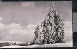 Bad Steben - Winterpartie - Bayerischer Wald - Bad Steben