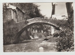 CPSM VALLERAUGUE (Gard) MONT AIGOUAL Le Vieux Pont De La Confrérie - Valleraugue