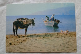 Greece Typical Sea- Side 1977    A 77 - Griechenland