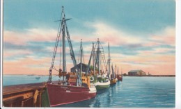 USA, Fishing Boats At The Wharf, Provincetown, Cape Cod, Mass, Unused Postcard [16392] - Cape Cod