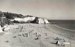 Delcampe - A16-1262  : MESCHERS - Meschers