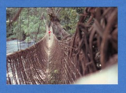 Gabon - Pont De Lianes De Poubara - Gabón