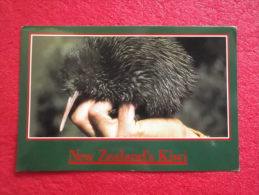 New Zealand 1989 The Kiwi Bird Nice Stamps - Neuseeland