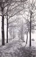 Bad Hofgastein - Winterbild 1964 - Bad Hofgastein