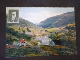 Carte Postale Dovrefjell 1964 - Brieven En Documenten