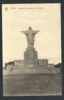 CPA - DISON - Monument Du Sacré Coeur - Vue De Face - Nels   // - Dison