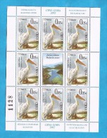 2002 10 WWF  SERBIA SRBIJA CRNA GORA MONTENEGRO  JUGOSLAVIJA JUGOSLAWIEN GESCHUETZTE  PELIKAN  MNH - Altri & Non Classificati