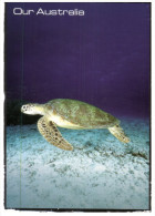 (222) Australia - Governement Environment Set Of 3 Postcard (Turtle - Tree - Native ) - Turtles