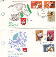 Animaux - Giraffe - Phinocéros - Okapi - Eland - Chevaux - Pandas - Belgique - Lettre FDC De 1961 - Valeur 27,50 € - Giraffes