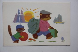 Bear - Racoon - Mushroom - Champignon - Old Postcard 1968 - Funghi