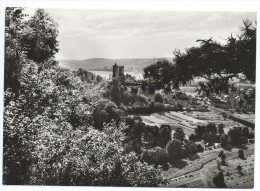 Bad Kösen Ruine Saaleck 1964 - Bad Kösen