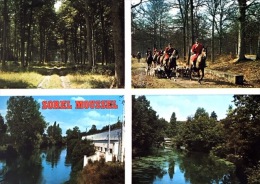 # Sorel-Mussel - Multivues - Sous Bois - Scène De Vénerie - Les Bordes De L'Eure - Sorel-Moussel