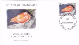 POLYNESIE FRANCAISE 1996 @ Enveloppe Premier Jour FDC Coquillages Conus Pertusus - Tahiti Papeete - FDC