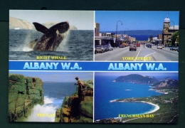 AUSTRALIA  -  Albany  Multi View  Unused Postcard - Albany