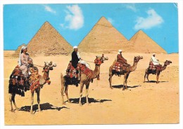 Egypt - Giza - Kheops, Khephren And Mykerinos Pyramids - N° 66 - Pyramides