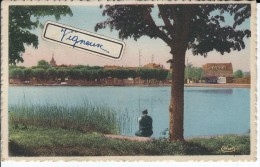 91 - VIGNEUX SUR SEINE - T.Belle Vue Animée Du Lac - Vigneux Sur Seine