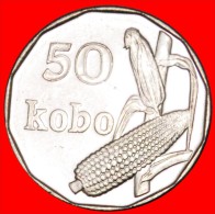 * CORN: NIGERIA ★ 50 KOBO 2006 MINT LUSTRE! LOW START ★ NO RESERVE!!! - Nigeria