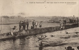 78 - SAINT ARNOULT EN YVELINES Forêt De Rambouillet - Bat L´ Eau Dans La Rivière De Saint Arnoult - St. Arnoult En Yvelines