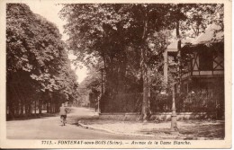 94. Fontenay Sous Bois. Avenue De La Dame Blanche - Fontenay Sous Bois