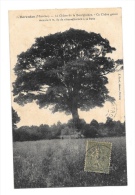 (7550-50) Barenton - Le Chêne De La Bourginière - Barenton