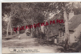 03 - NERIS LES BAINS - ROUTE DE MONTLUCON - PLAINE DE SAINTE AGATHE- EDITEUR PICAUDET N° 81 - Neris Les Bains