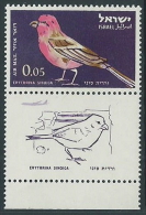 1963 ISRAELE POSTA AEREA UCCELLI 5 A CON APPENDICE MNH ** - T4 - Luftpost