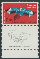 1963 ISRAELE POSTA AEREA UCCELLI 20 A CON APPENDICE MNH ** - T4 - Aéreo