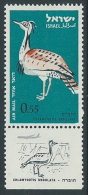 1963 ISRAELE POSTA AEREA UCCELLI 55 A CON APPENDICE MNH ** - T4 - Luftpost