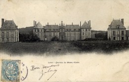 91 - LARDY - Château Du Mesnil-Voisin - Carte Précurseur - Lardy