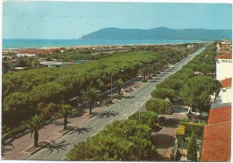 O1439 Marina Di Carrara - Panorama / Viaggiata 1971 - Carrara