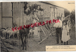 03 - NERIS LES BAINS - UNE FAMILLE DE CULTIVATEURS NERISIENS - EDITEUR ALBERT M. N° 101- CARTE TOILEE 1907 - Neris Les Bains