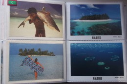 Maldives  - 4  Old Postcard  Lot - Shark - Little Boy - Michael Friedel - Maldive
