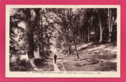 22 COTE-d'ARMOR ST-CAST, Bois De Vieuxville, Animée, 1918, (N. D., Paris)) - Saint-Cast-le-Guildo