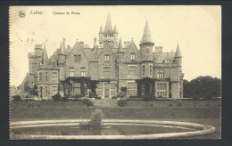 CPA - CELLES - Château De ROISY - Nels  // - Celles