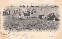 Berck    62    Scène Et Thème Plage + Anes : - Berck