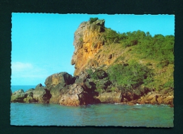 AUSTRALIA  -  Great Barrier Reef  Lion Island  Unused Postcard - Great Barrier Reef