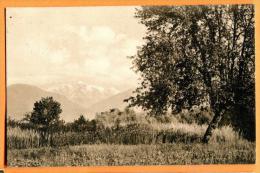 PBP-21  Environs De Morges, Vue Sur Le Mont-Blanc. Cachet 1910 - Morges