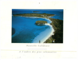(170) New Caledonia - With Stamp - Nieuw-Caledonië