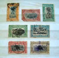 Belgian Congo 1894 - 1910 Palm Tree Landscapes Elephants - Used Stamps