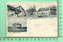 HOHWALD: Multi-vues, Hotel Stauffer, Schloss Spesburg, Villa Zuber, Villa Schlumberger - Hohwald (Sachsen)