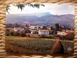 Carte Postale Ascain Vue Générale Aufond La Rhune (non Circulée) - Ascain