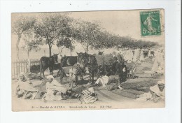 MARCHE DE BATNA 21 MARCHANDS DE TAPIS 1911 - Batna