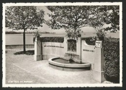 HORN TG Bodensee Arbon Denkmal 1928 Brunnen Der Gastfreundlichen Schweiz In Dankbarkeit...ca. 1950 - Arbon