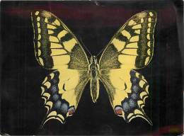 B16-0333  : PAPILLON  PAPILIO MACHAON - Papillons