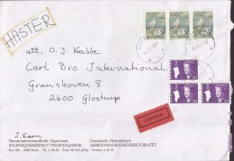 Greenland EXPRES Label NUUK 1989 Cover Brief GLOSTRUP (Arr.) Denmark Bird Vogel Oiseau Owl Uhle 3-Stripe (2 Scans) - Lettres & Documents