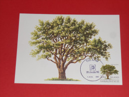 Island Iceland 1985 Card Postkarte Philatelia Köln Baum Tree - Cartas & Documentos