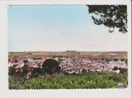 CPSM Grand Format - MONTAGNAC - Vue Générale - Montagnac