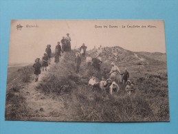 Dans Les Dunes La Ceuillette Des Mûres ( Star 1234 ) Anno 1911 ( Zie Foto´s Voor Detail ) ! - Westende